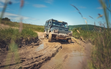 Unsere Bildergalerie